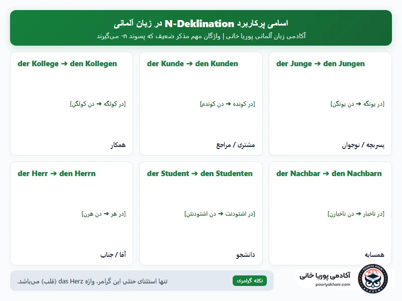 اینفوگرافیک اسامی پرکاربرد مذکر ضعیف در گرامر N-Deklination آکادمی پوریا خانی