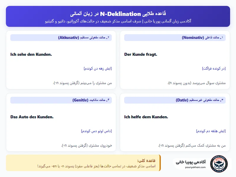 اینفوگرافیک قاعده اصلی گرامر N-Deklination در آلمانی آکادمی پوریا خانی